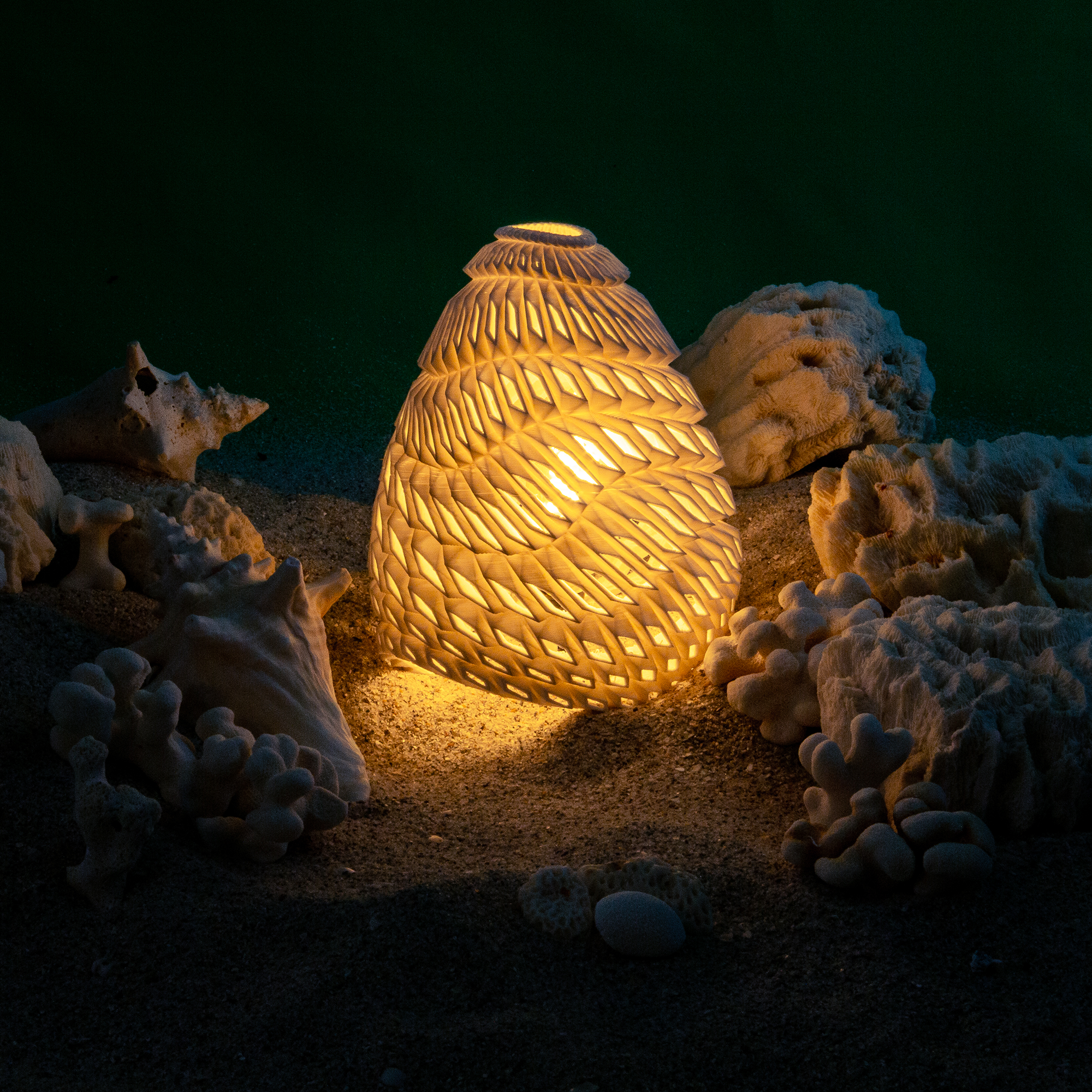 Shell Lamp